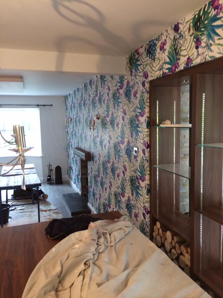 D M Later Domestic Painting Jobs