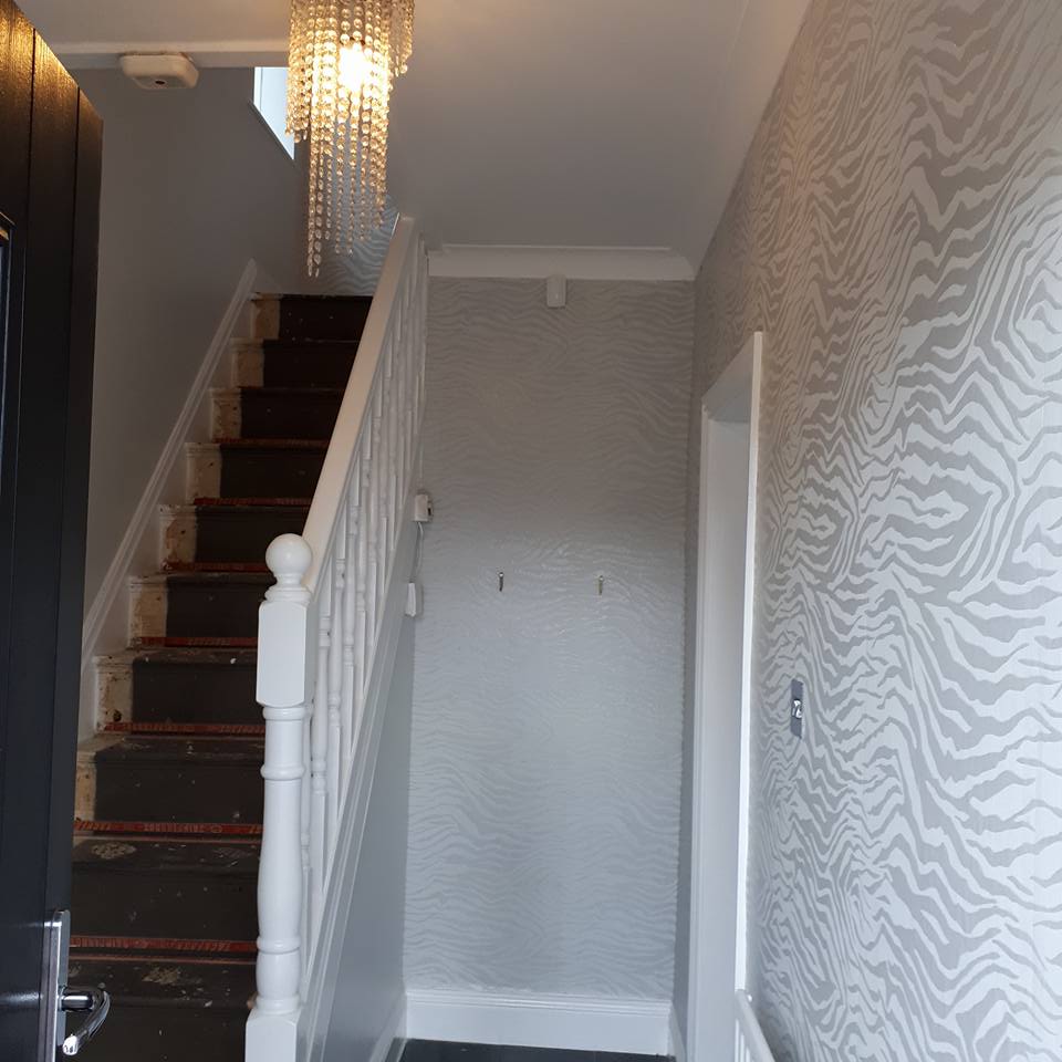 D M Later Domestic Painting Jobs