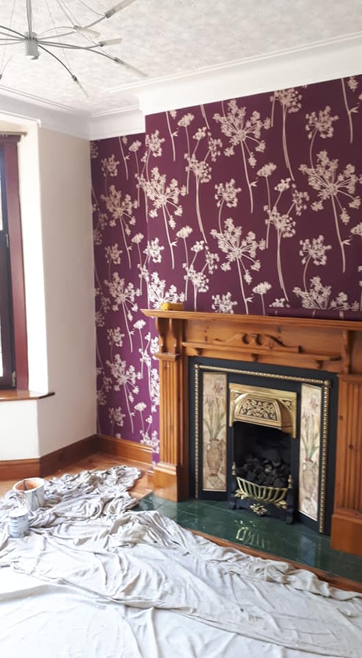 D M Later Domestic Painting Jobs