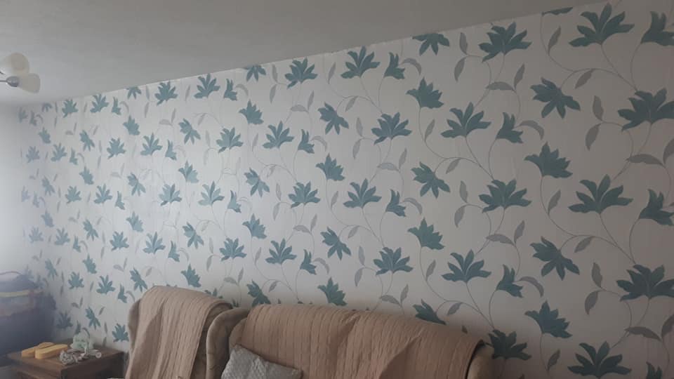 D M Later Domestic Painting Jobs