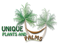 Unique Plants and Palms Unique Plants and Palms