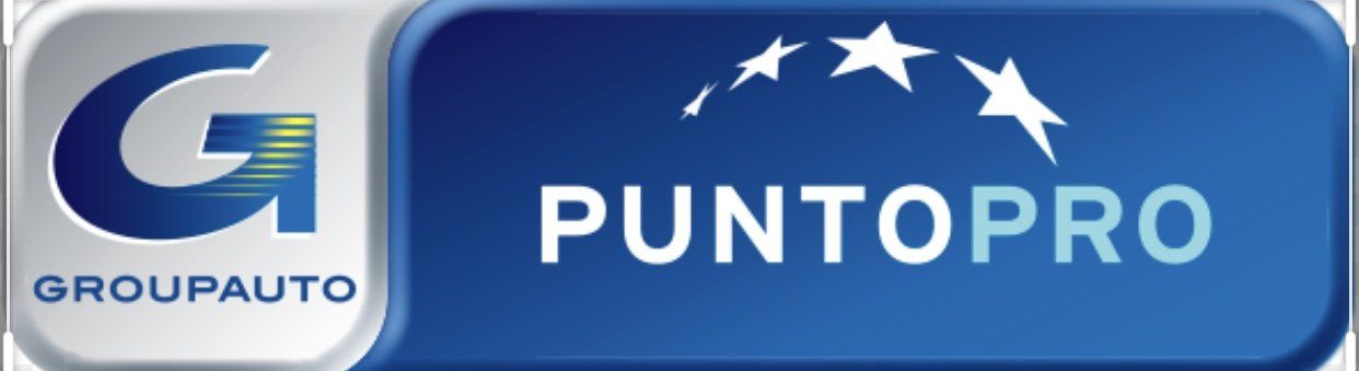 Groupauto Puntopro