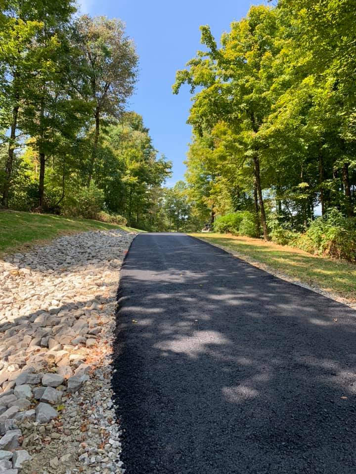 Asphalt Sealcoating — Asphalt Road with Tall Trees in Zanesville, OH