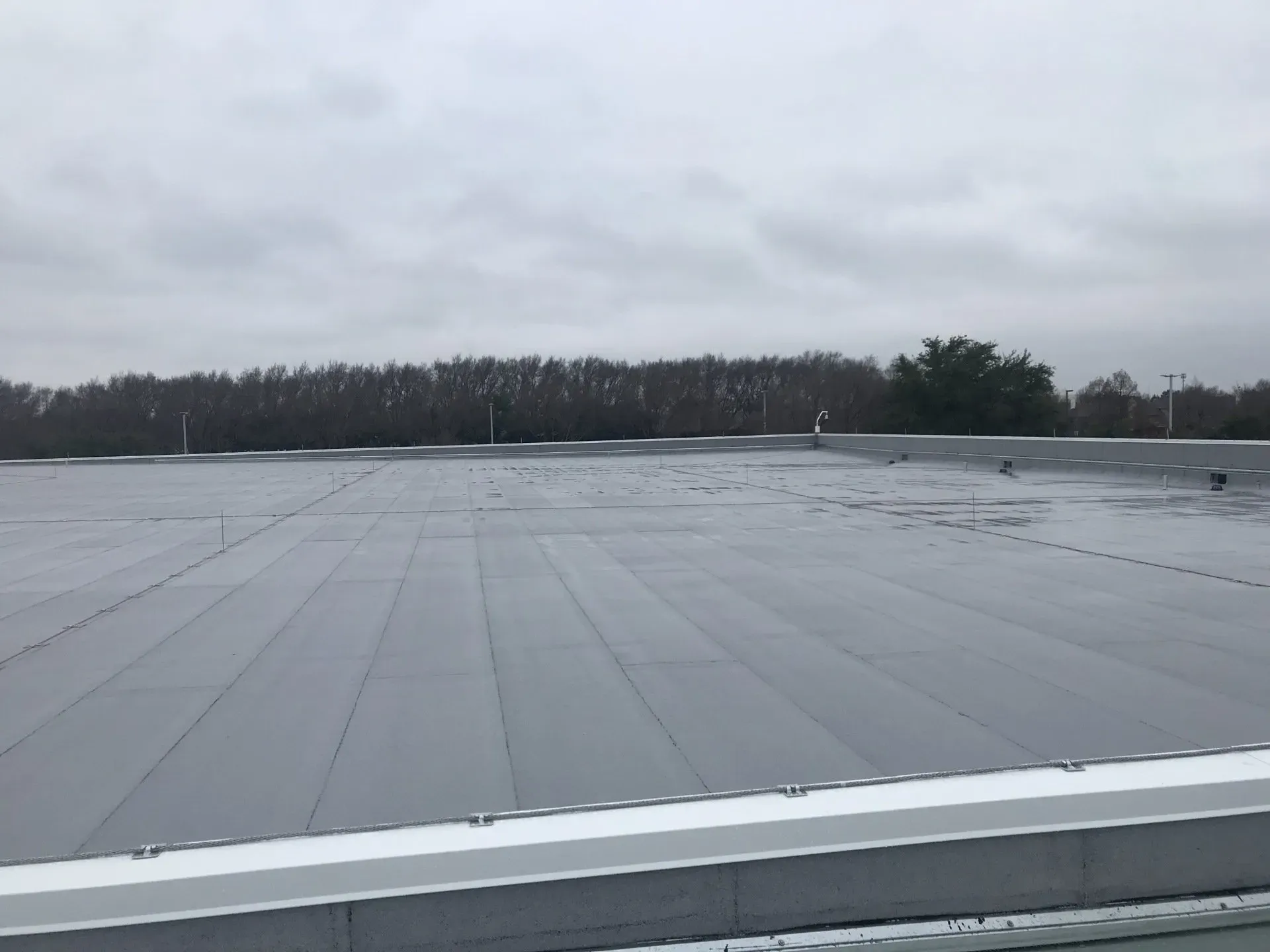 A large roof with trees in the background on a cloudy day.