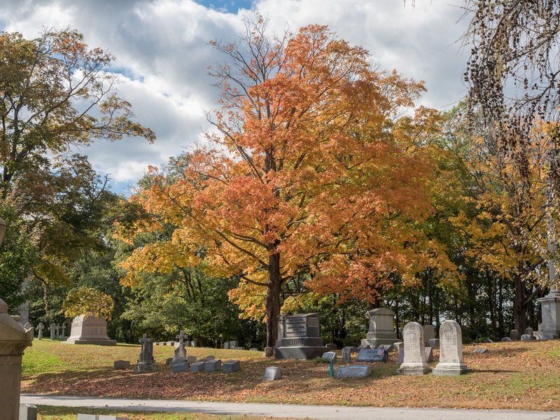 Autumn Cemetery Gallery
