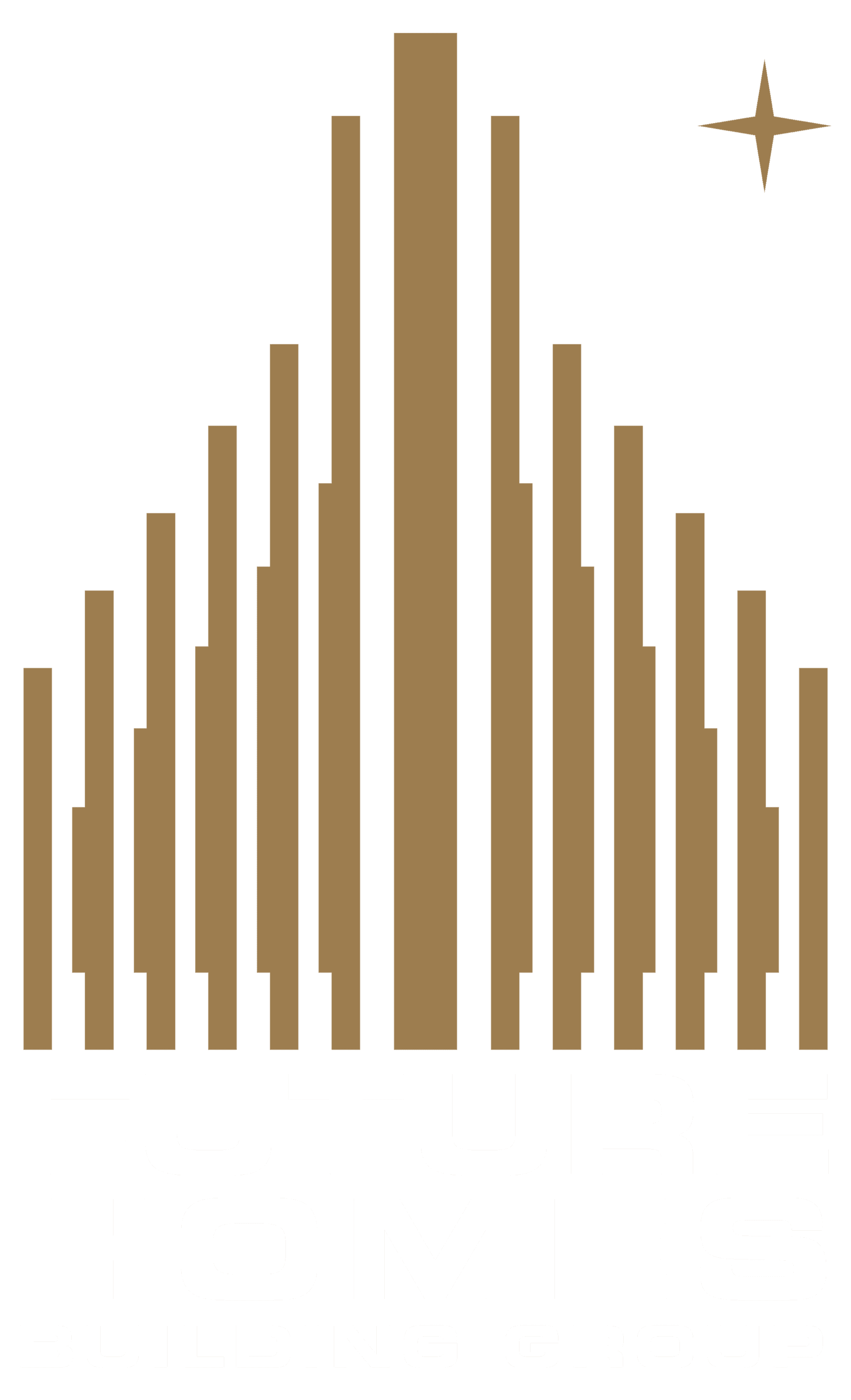 Future homes logo