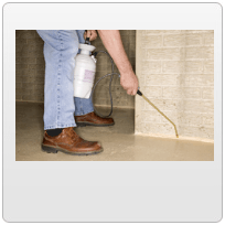 Man spraying raid — Pest Control in Yorkville, IL Man spraying raid — Pest Control in Yorkville, IL
