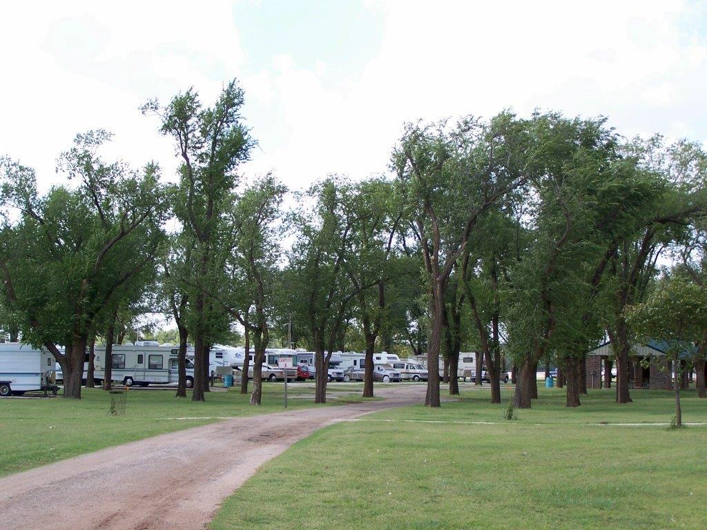 trees