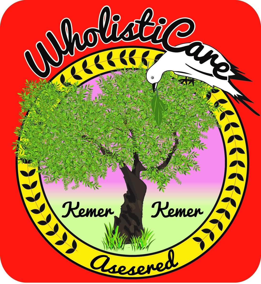 Wholisticare - logo