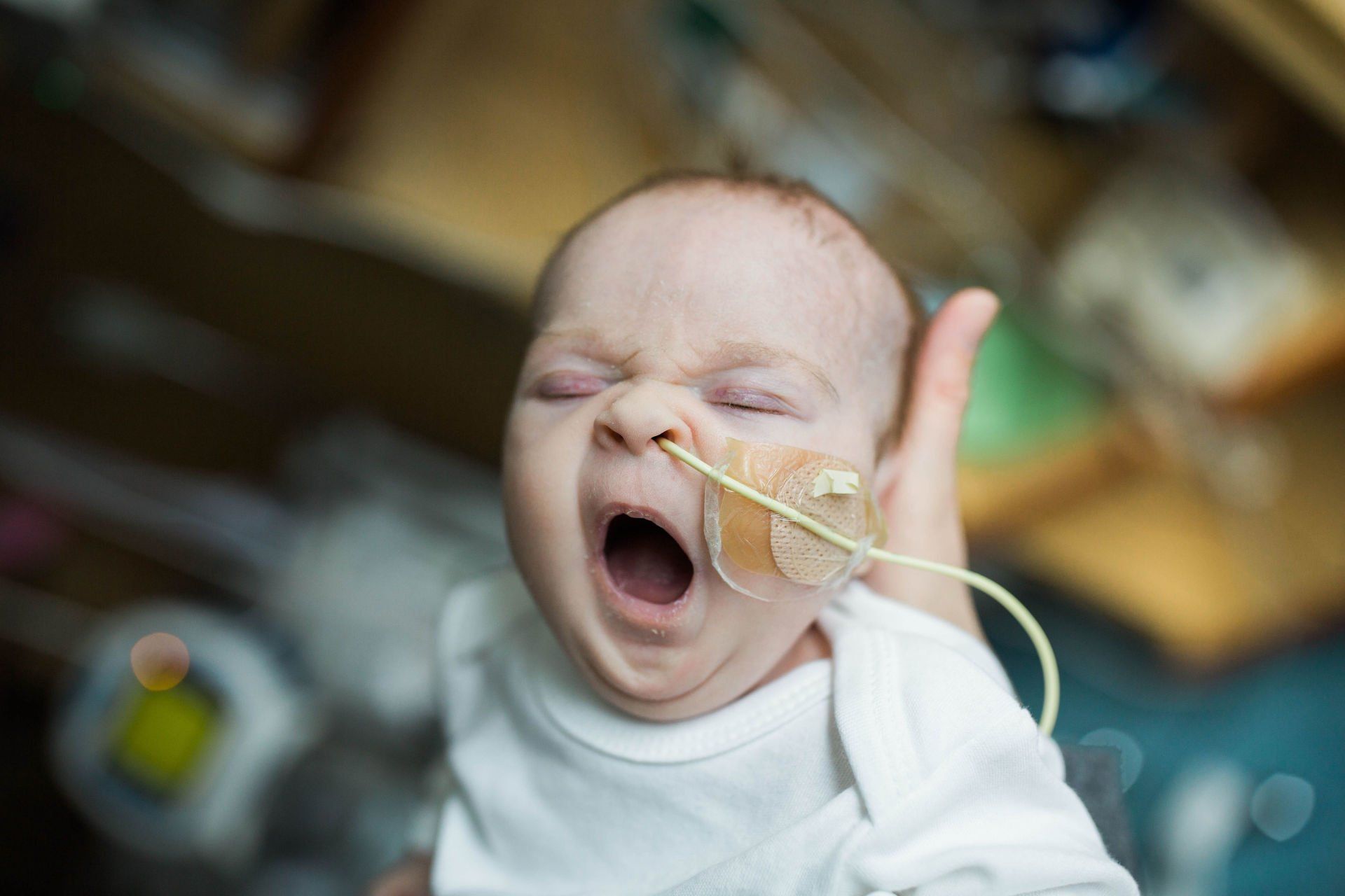 organ donation world of broken hearts