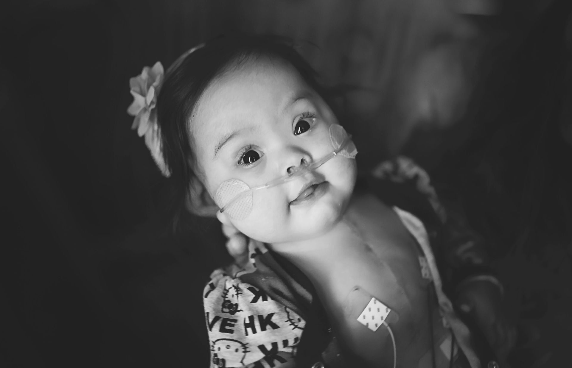 world of broken hearts heart donation