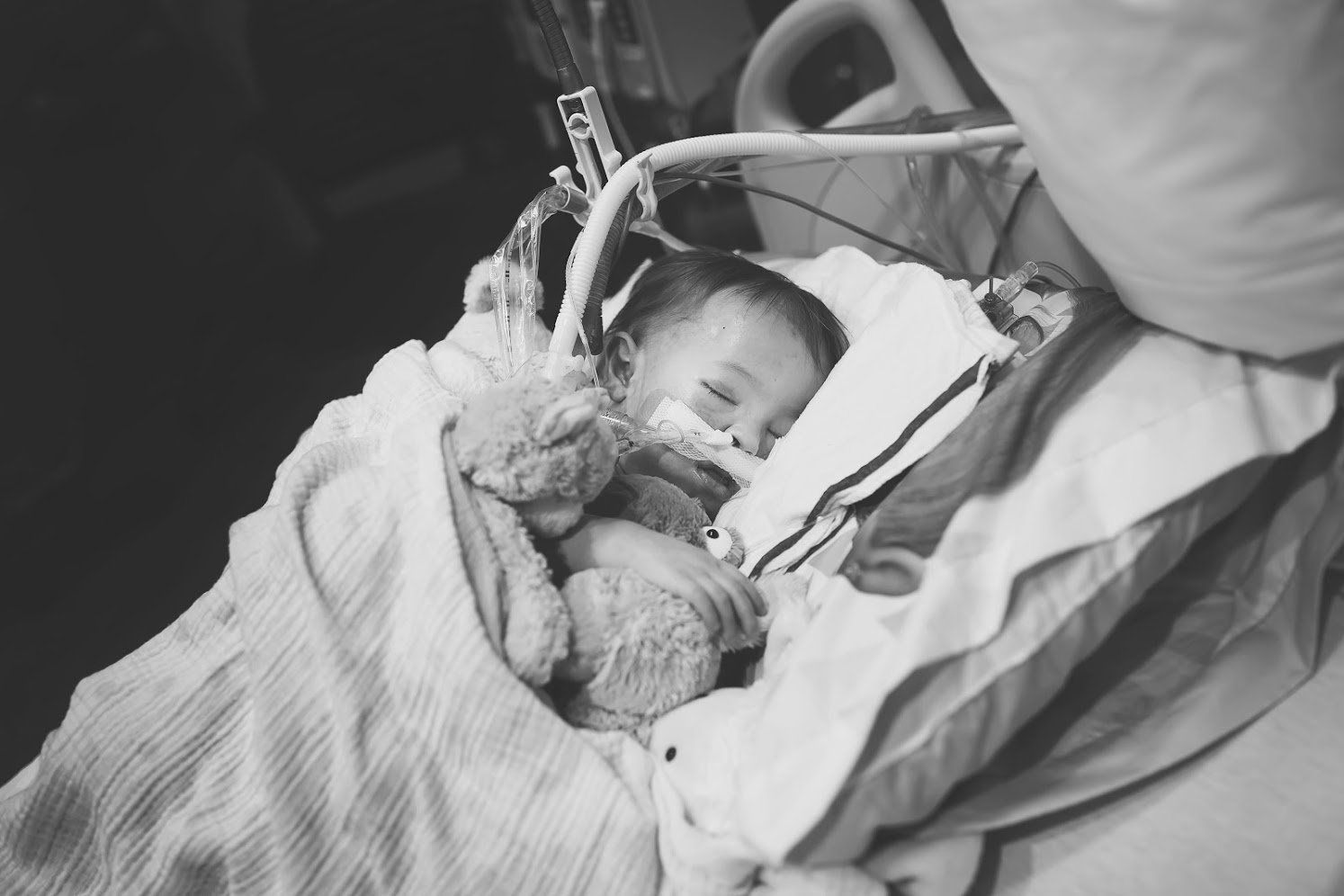 adalynn world of broken hearts warrior