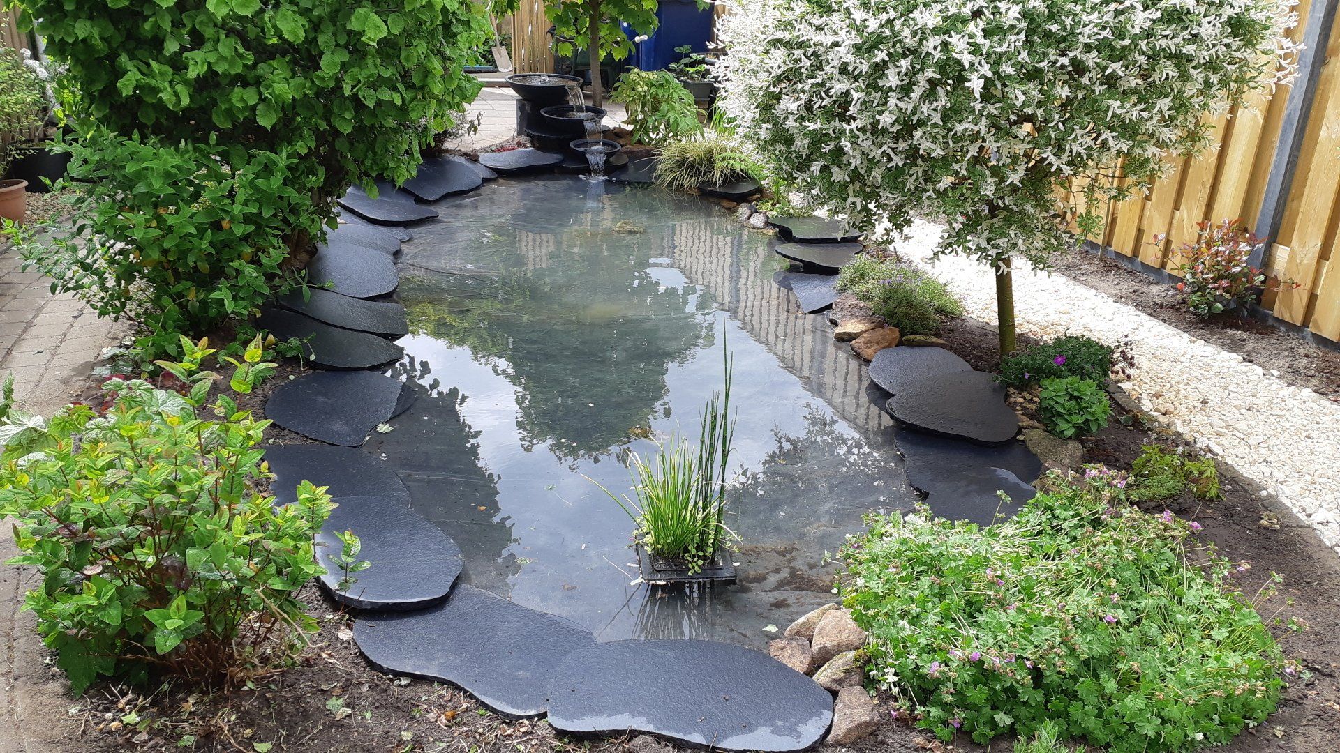 Tuinvijver met waterlelies, omgeven door zwarte stenen en weelderige groene planten.