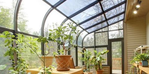 curved ceiling glazing