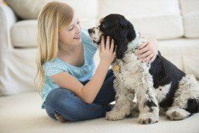 Clean Carpet - Carpet Cleaning Company