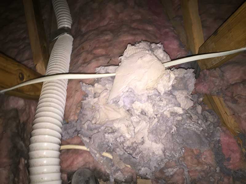 Dryer lint