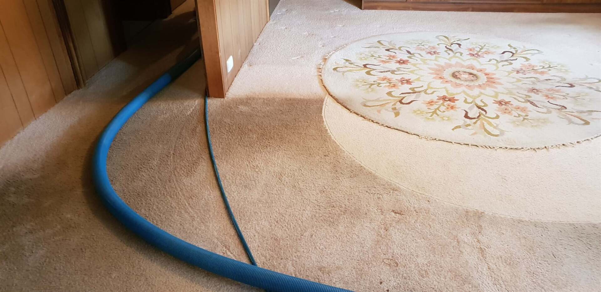 Carpet cleaning — Home Cleaners in Mulwala, NSW
