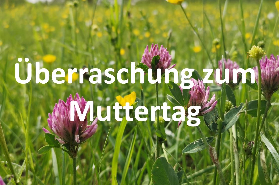 Muttertagsüberraschung