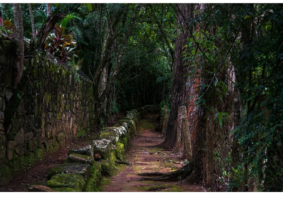 Bosque Mãe D'água