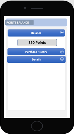 Points System