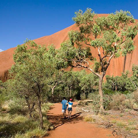Ayers Rock Campground and Resort Ayers Rock Campground and Resort Community Tourism Tech