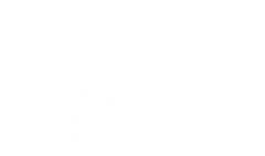 Empty white background.