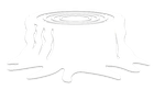 White tree stump with visible growth rings and roots.