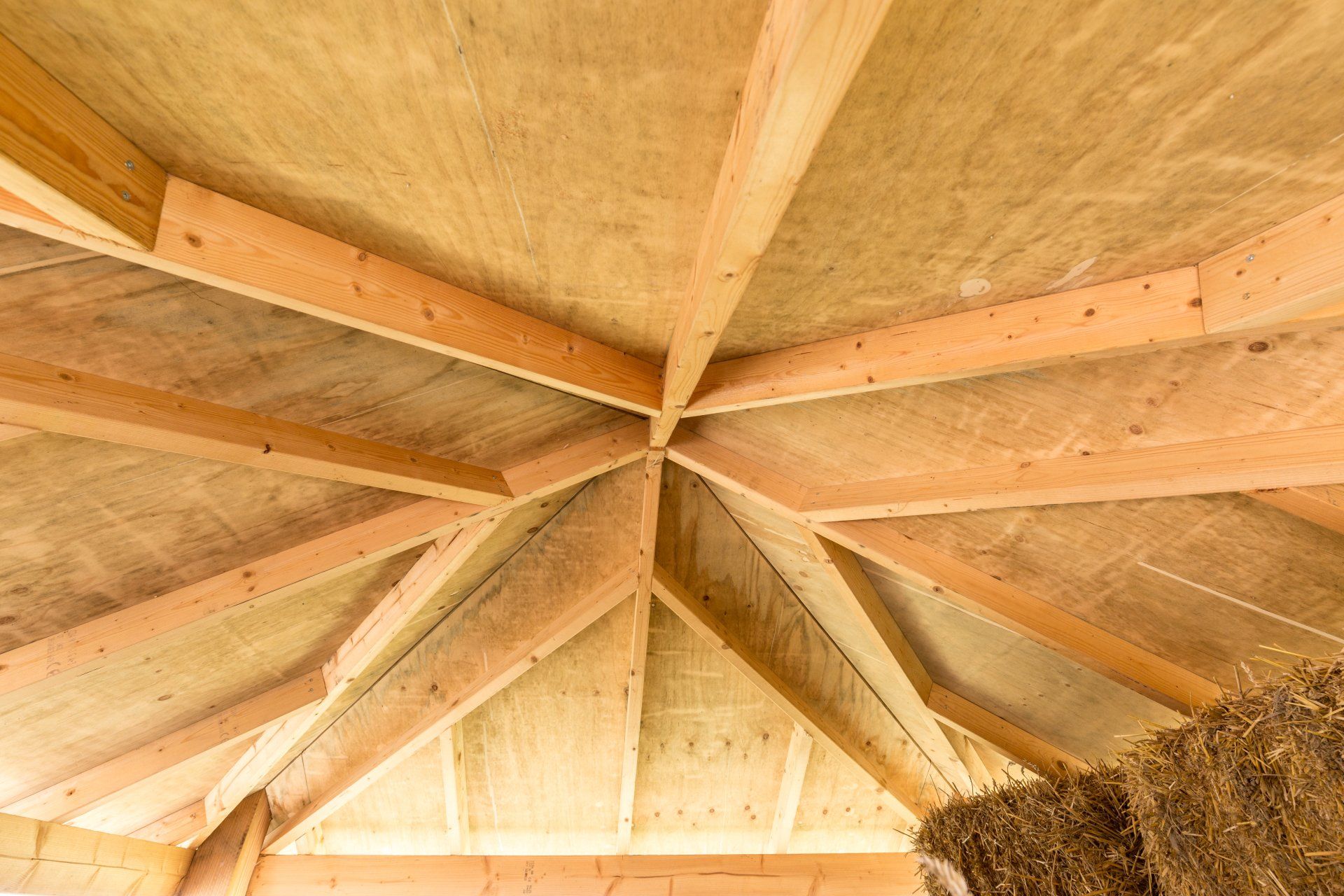 Laag perspectief van een houten dakconstructie met zichtbare spanten en multiplex beplating.