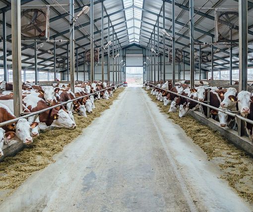 Serbatoi GPL per l'agricoltura a Vicenza