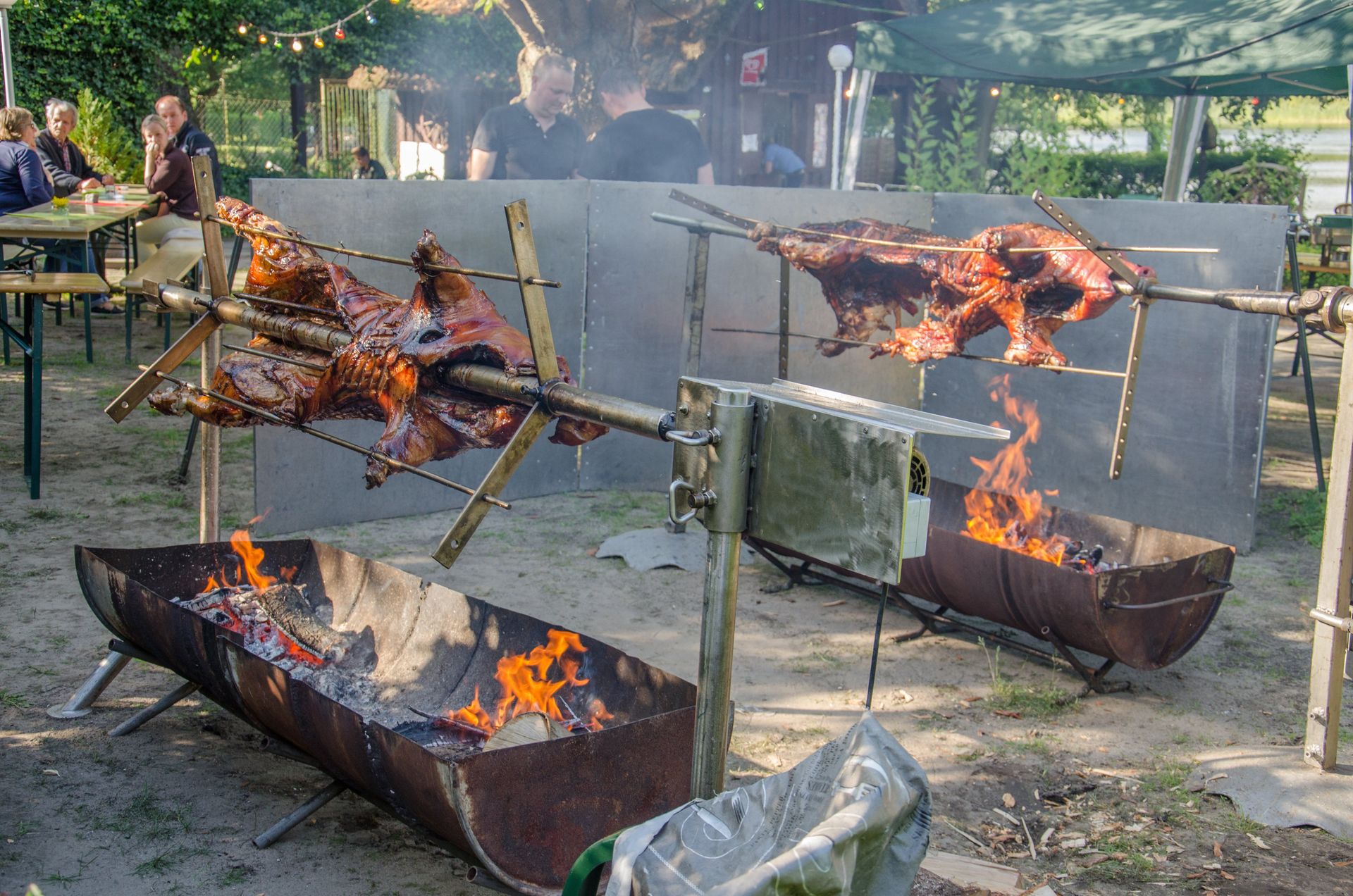 Draußen werden zwei Schweine am Spieß gegrillt.