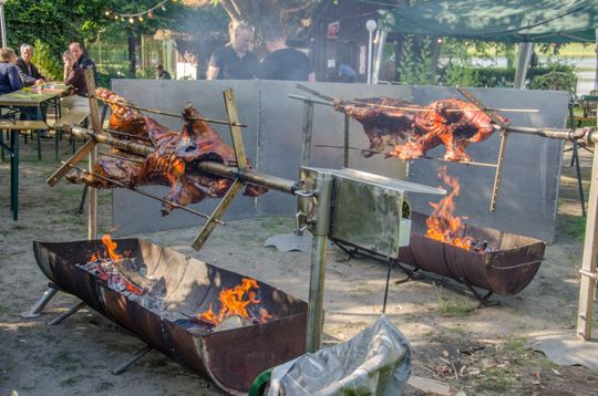 Draußen werden zwei Schweine am Spieß gegrillt.