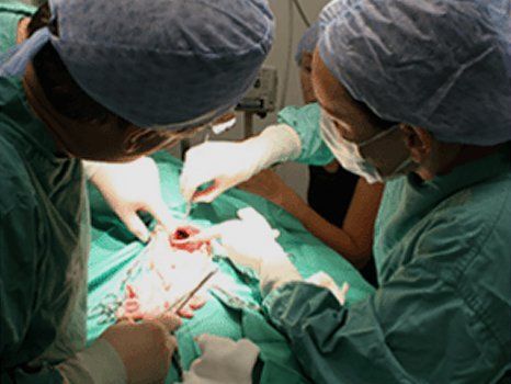 surgery
