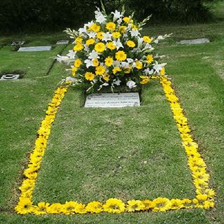 Parques y Jardines de Colombia SAS - Arreglos especiales para lotes