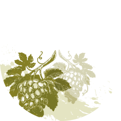 Enoteca icona