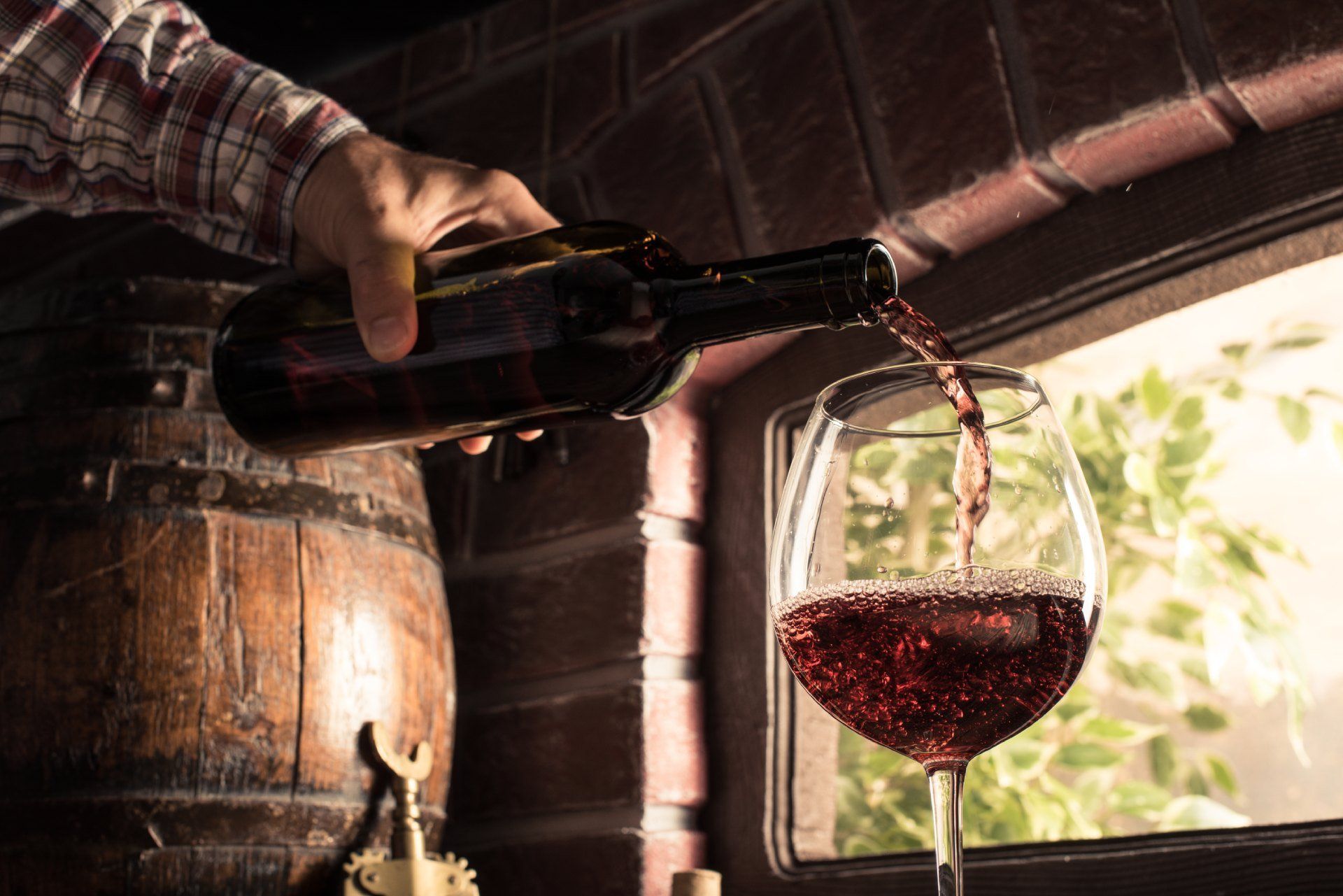 Degustazione vini rossi italiani