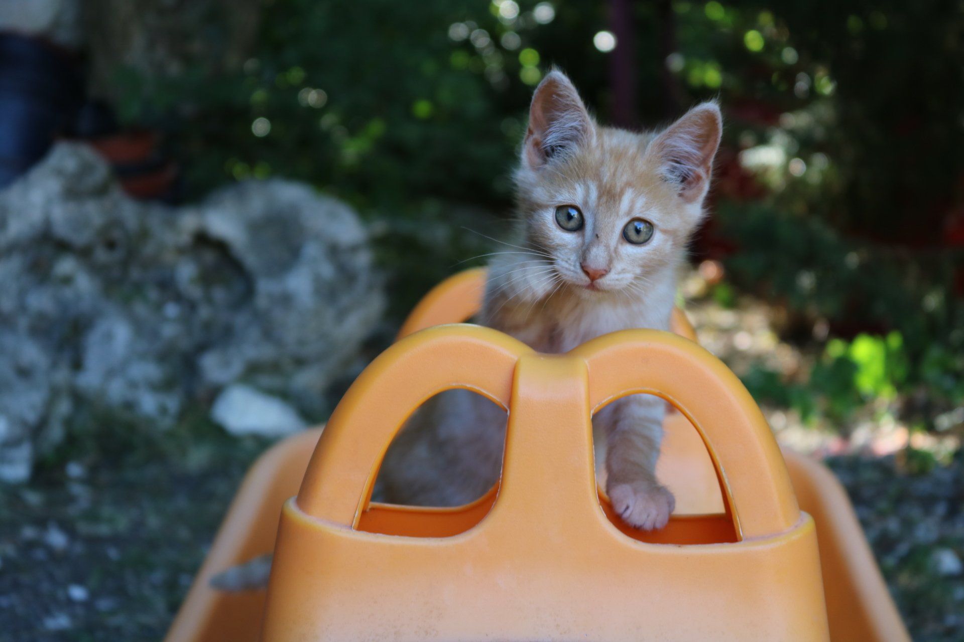 Les Escaliers de La Combe poes