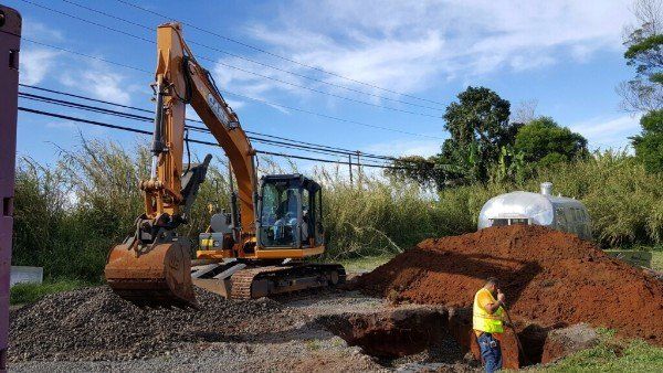 Site Clearing and Development
