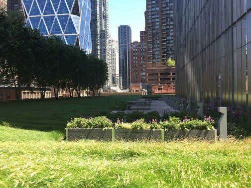 Tall Grass Beside a Commercial Building — Hempstead, NY — Harder Services Inc