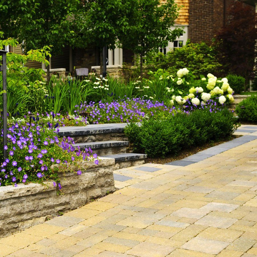 Plants With Violet Flowers — Hempstead, NY — Harder Services Inc Plants With Violet Flowers — Hempstead, NY — Harder Services Inc