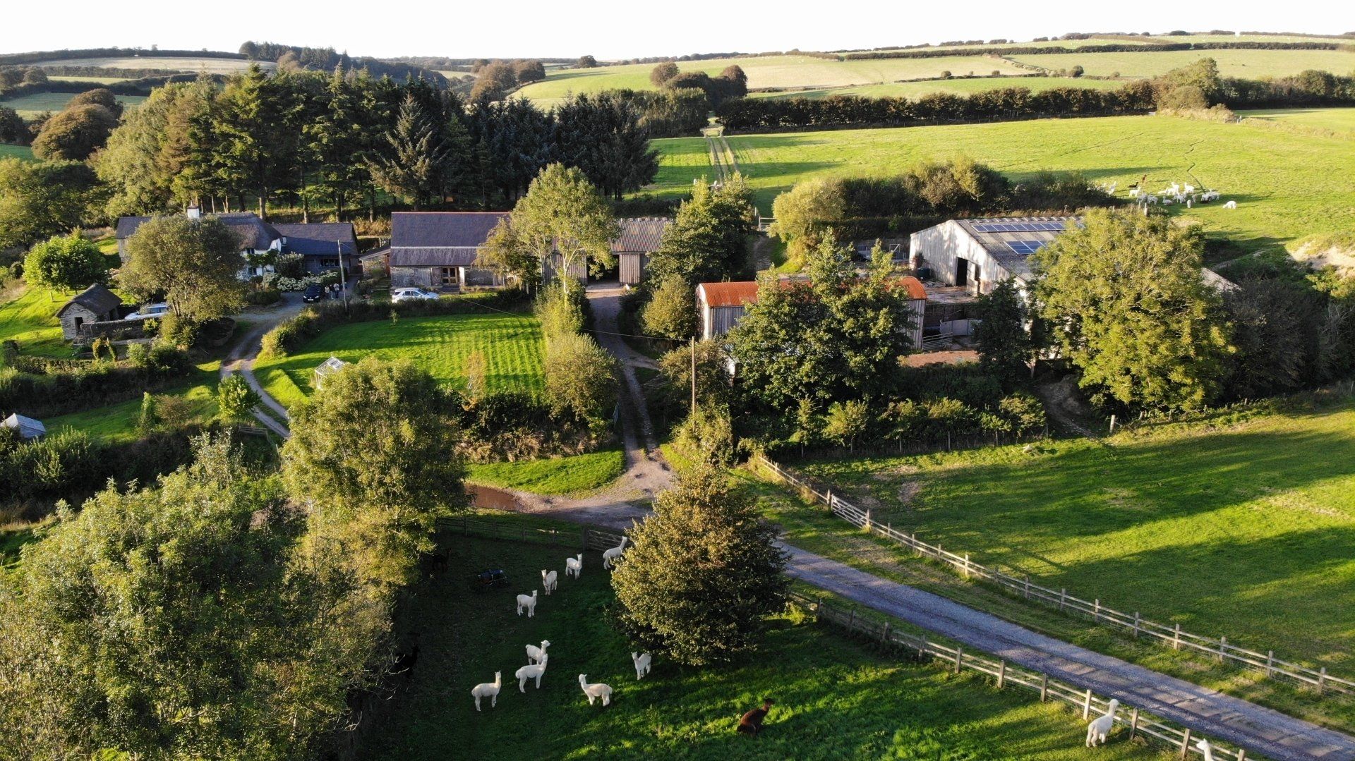 organic farm sustainablefashion alpaca clothing
