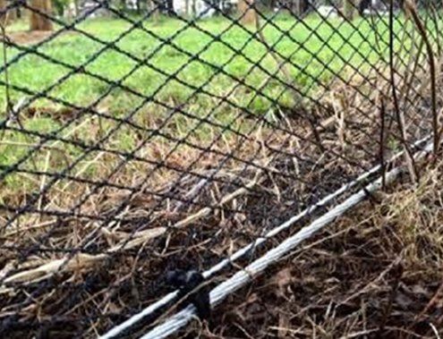 Bird Netting