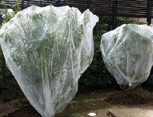 Bird Netting