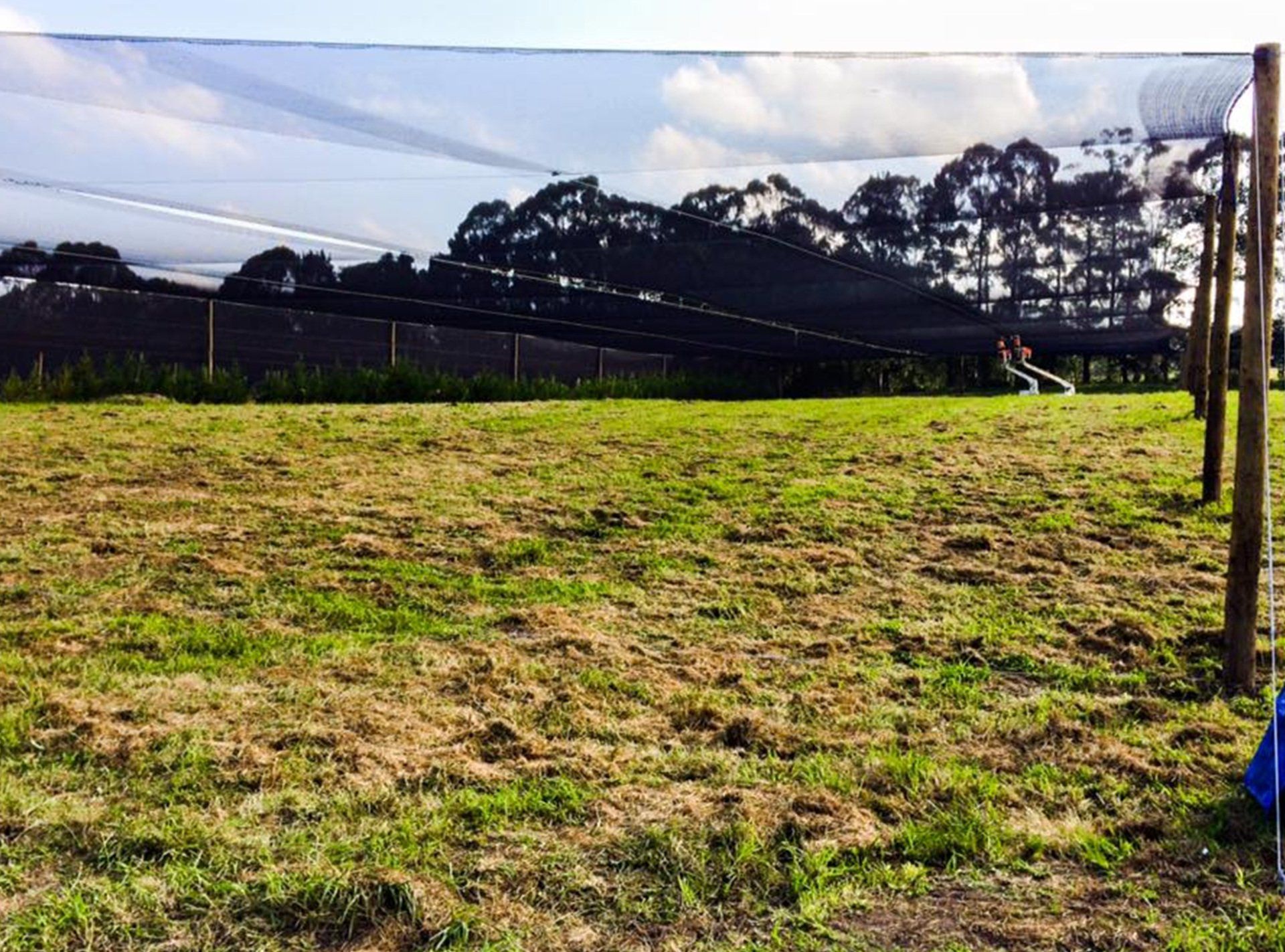Cross Netting