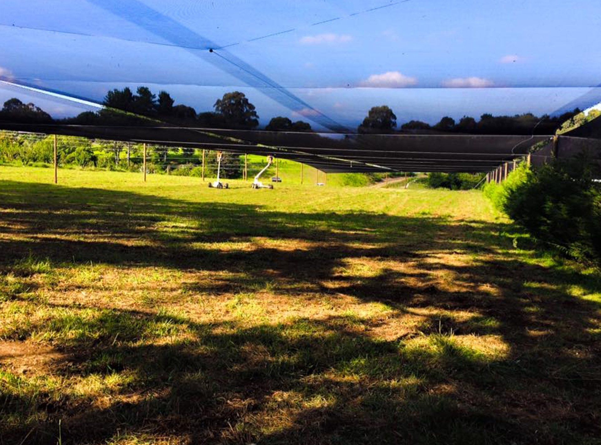 Cross Netting