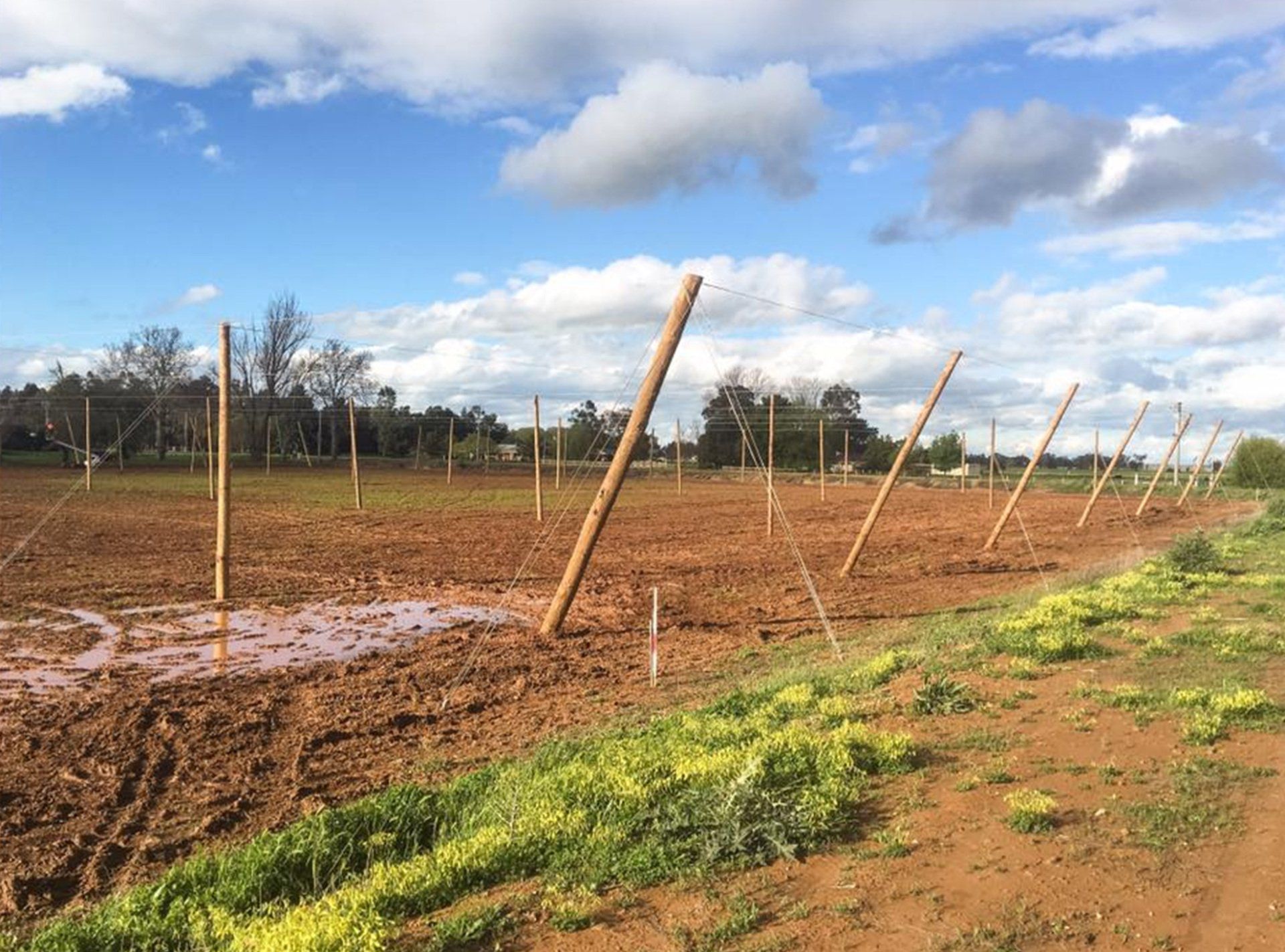 Cross netting