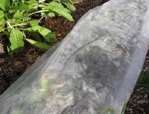 Frost Netting