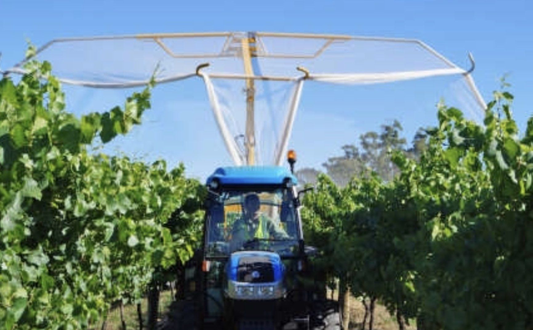 Blue tractor spraying crops in a vineyard with a large boom arm