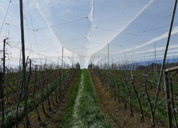 Farm Netting