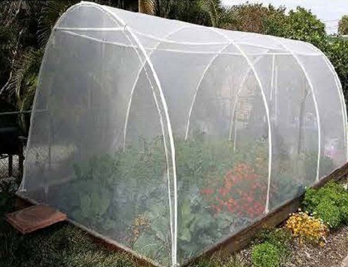 Vege Netting