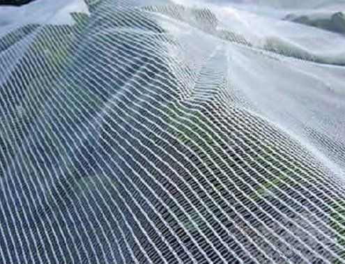 Vege Netting